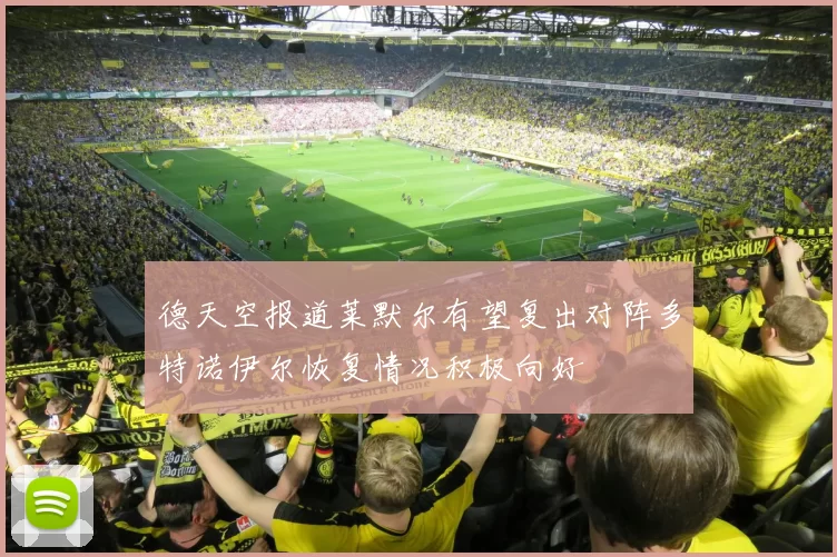 德天空报道莱默尔有望复出对阵多特诺伊尔恢复情况积极向好