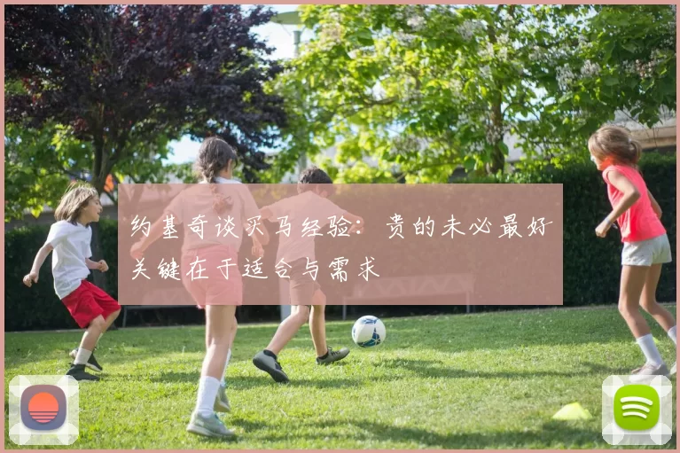 约基奇谈买马经验：贵的未必最好关键在于适合与需求