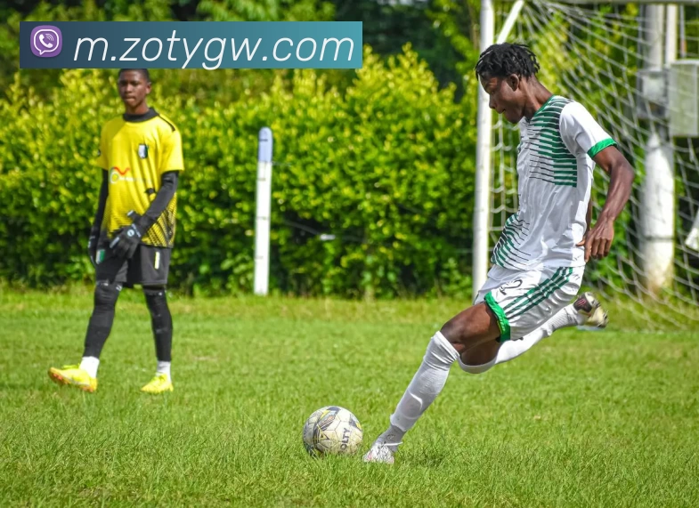 中欧体育官网平台生态图